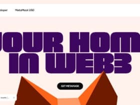 How To Using Metamask for Cross-Chain Transfers