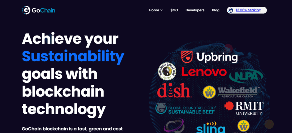 What is GoChain (GO)?