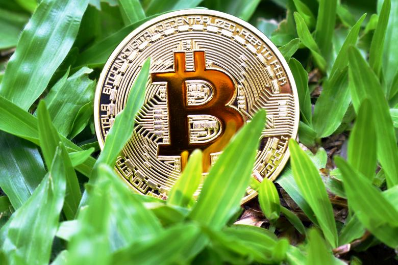 Token Discovery