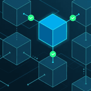 Why is Blockchain Used?